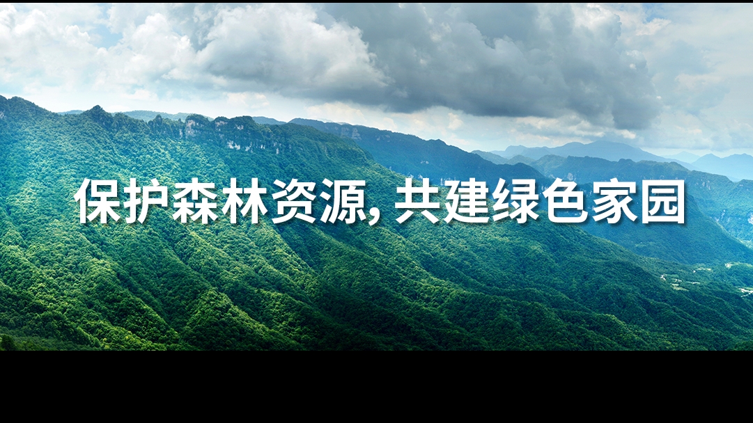 金鷹為您解答森林資源進行資產評估的重要性！